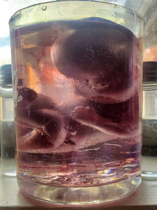 Memorial silicone fetus is glass jar with resin beautiful gift or for display