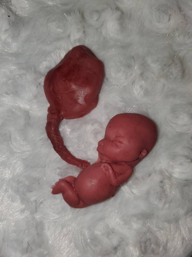 fetus silicone baby memorial with umbilical cord attached