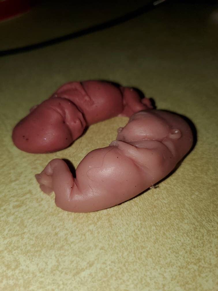 13 week silicone baby fetus memorial baby keepsake