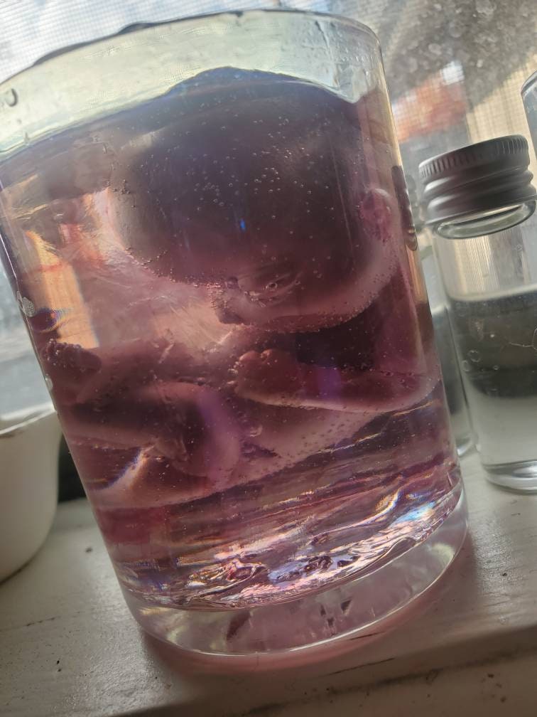 Memorial silicone fetus is glass jar with resin beautiful gift or for display