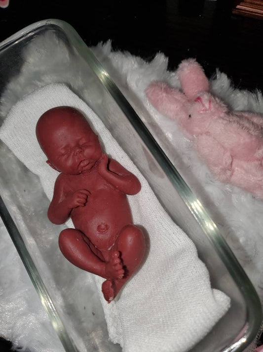 Full body silicone preemie 3" baby girl memorial baby