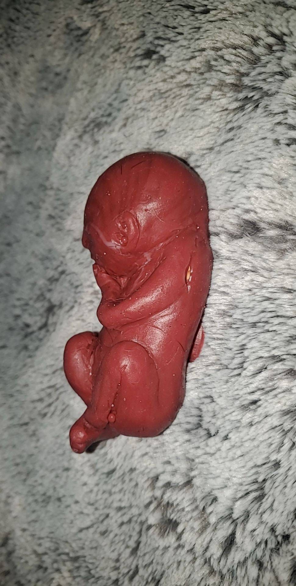 19 week silicone memorial fetus baby
