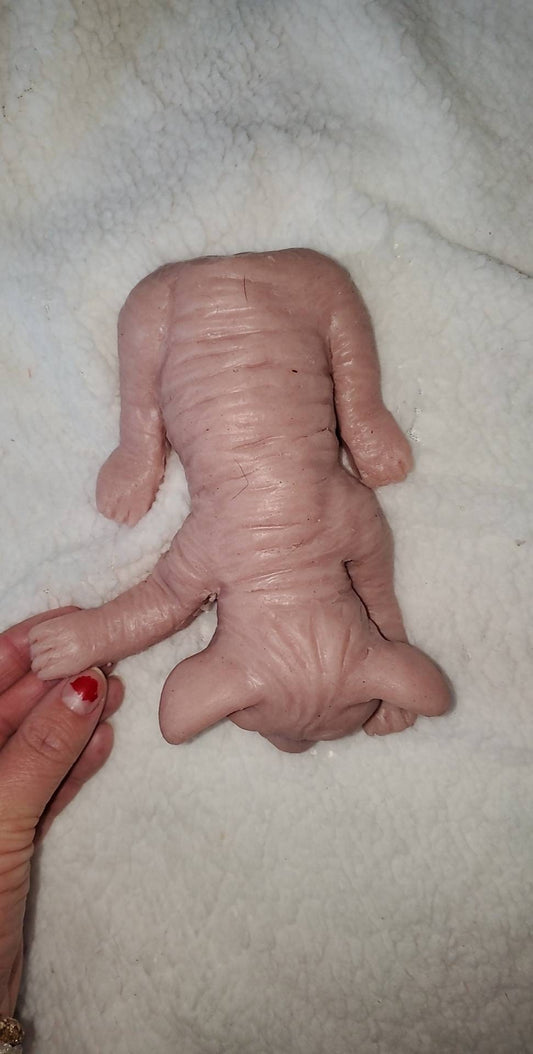 Full body silicone spyhnx cat kitten