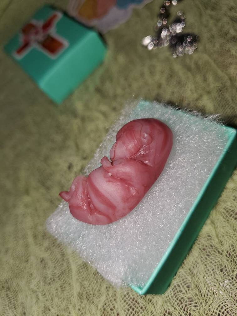 9 week gestational fetus silicone baby red/mixed color