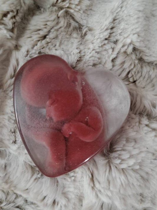 Memorial silicone babies inside resin heart