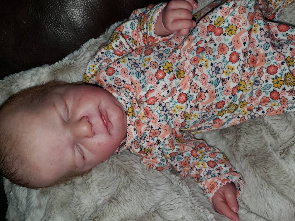 b2765117-df6b-4ed4-aef3-c3a770df0836