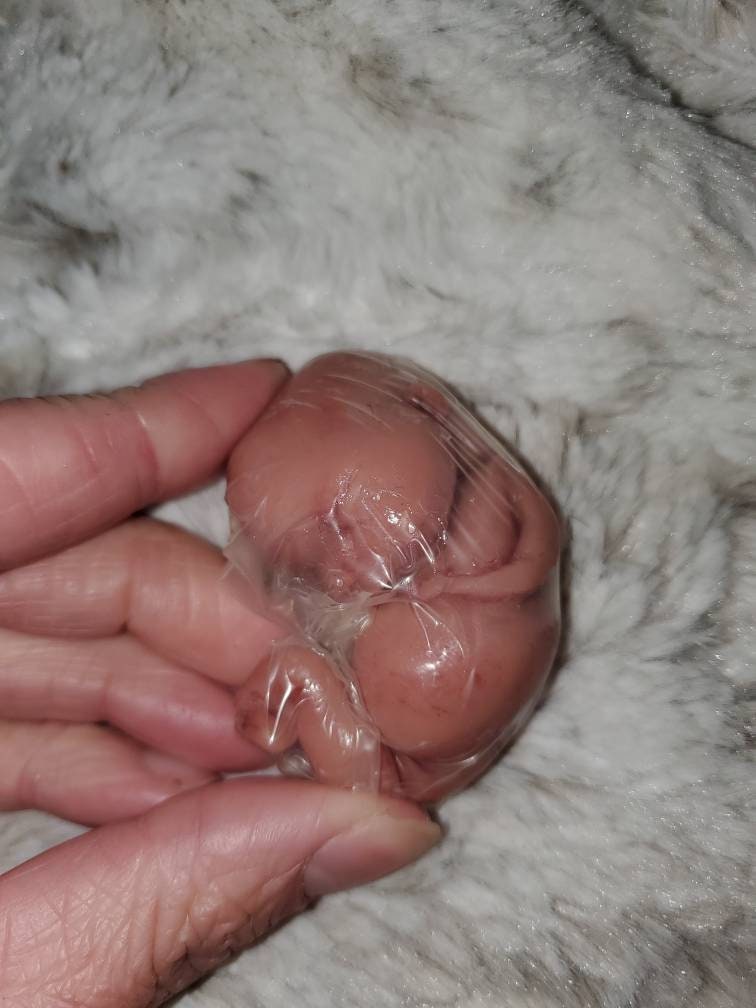 silicone baby fetus memorial baby fetus inside WOMB