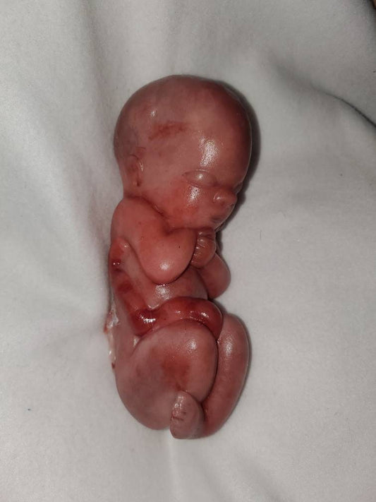 8" curled up silicone baby 22 week gestation memorial baby born too soon fully painted