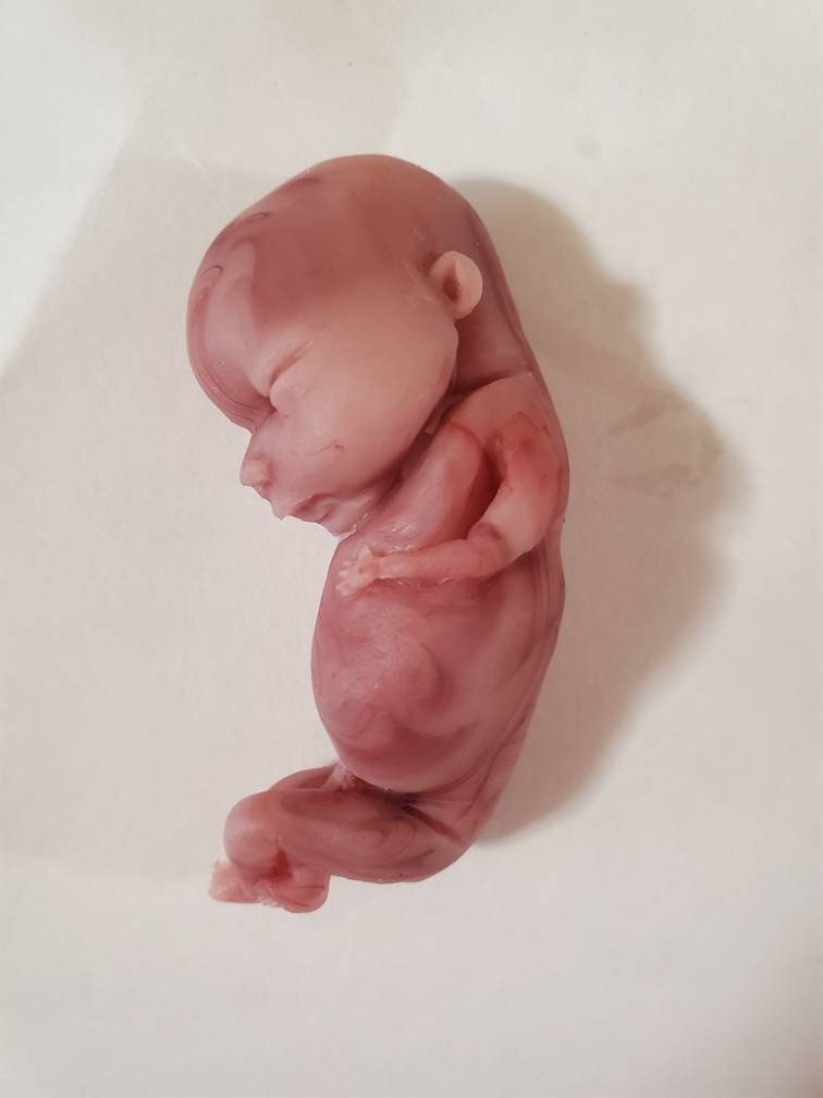 14 week gestation fetus memorial silicone baby
