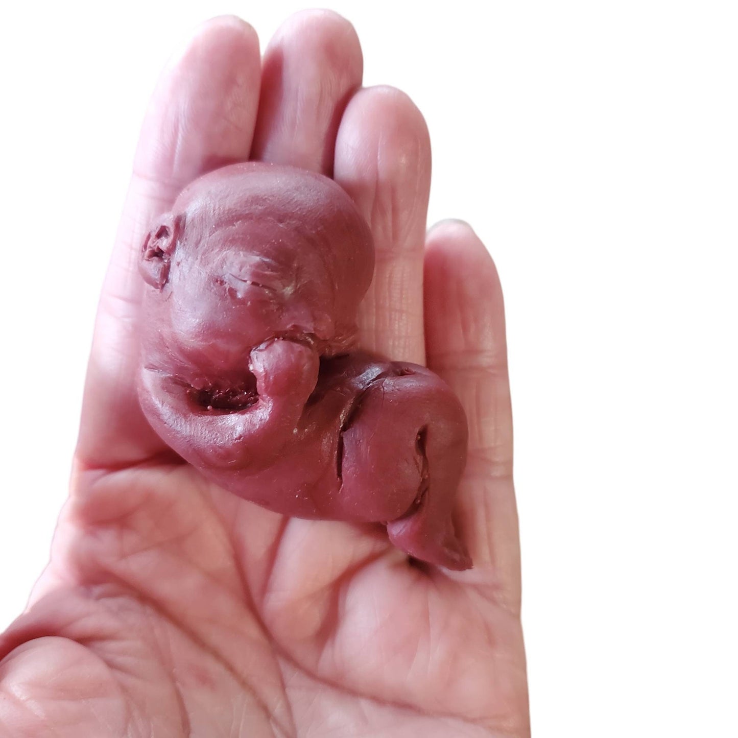 13 week gestational fetus silicone baby
