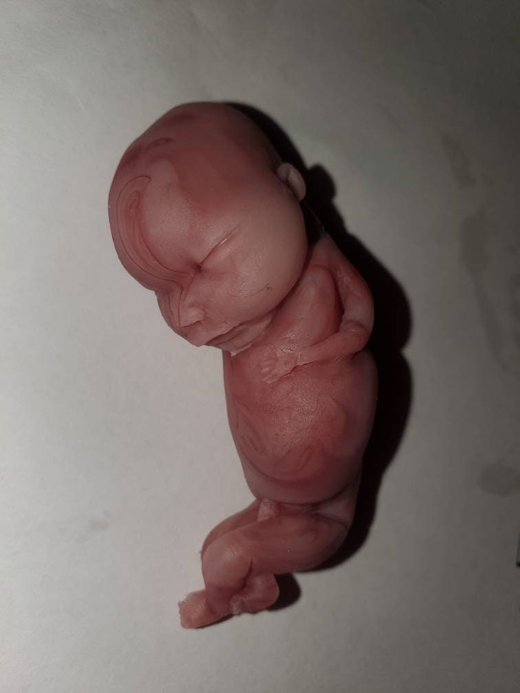 14 week gestation fetus memorial silicone baby