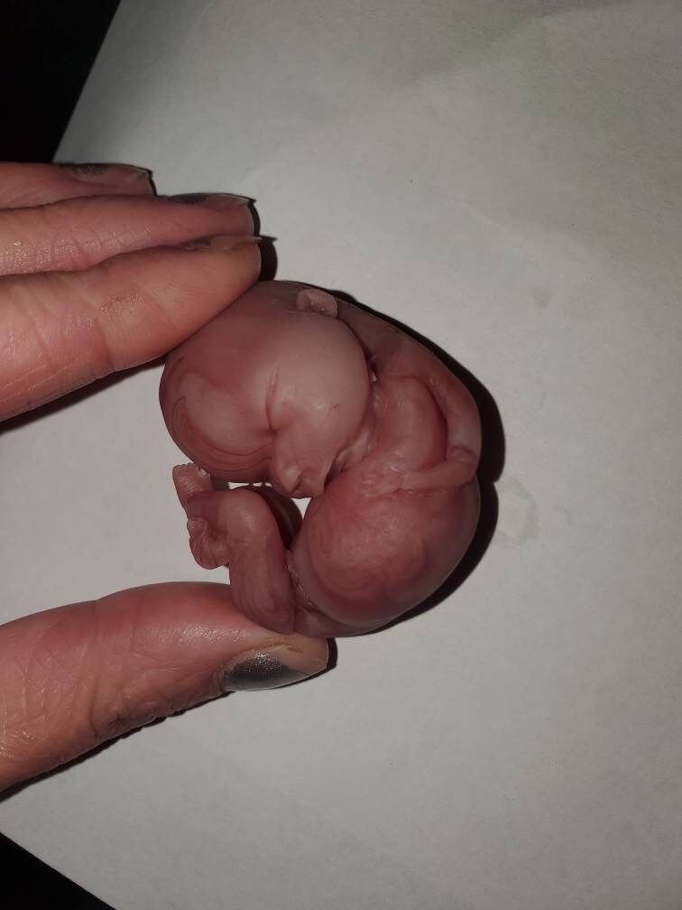 14 week gestation fetus memorial silicone baby