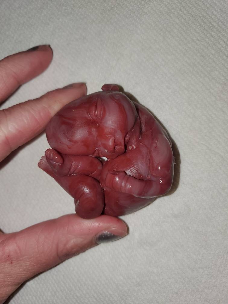 17 week gestational silicone baby fetus memorial baby red Caucasian mixed color