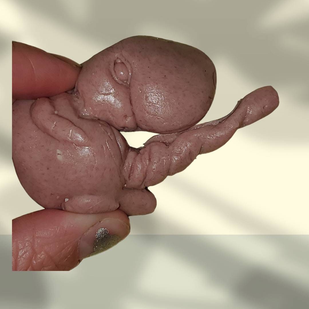 13 week sized gestation silicone fetus memorial baby with umbilical cord