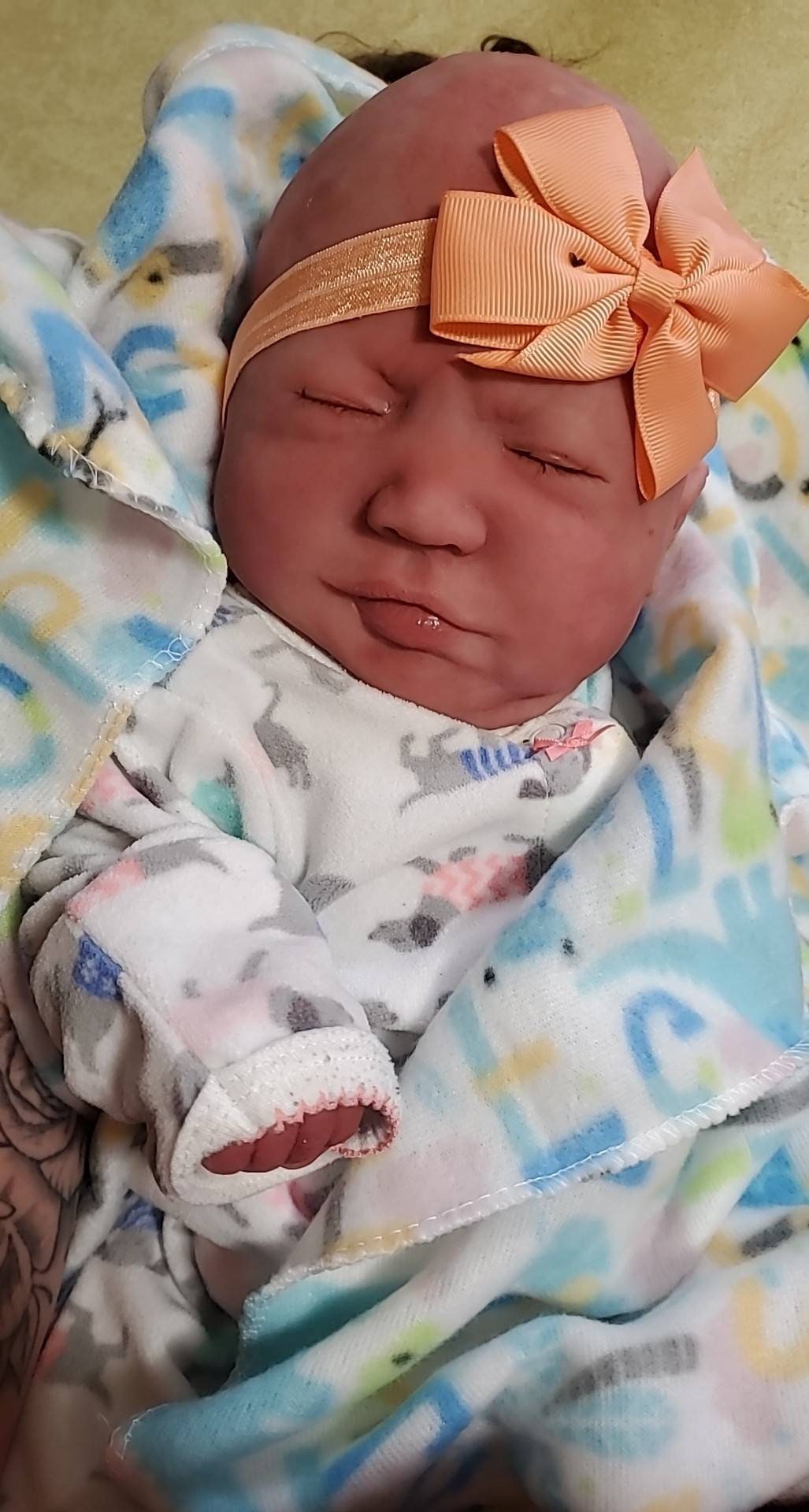 Full body silicone baby 19" Emerly chunky newborn