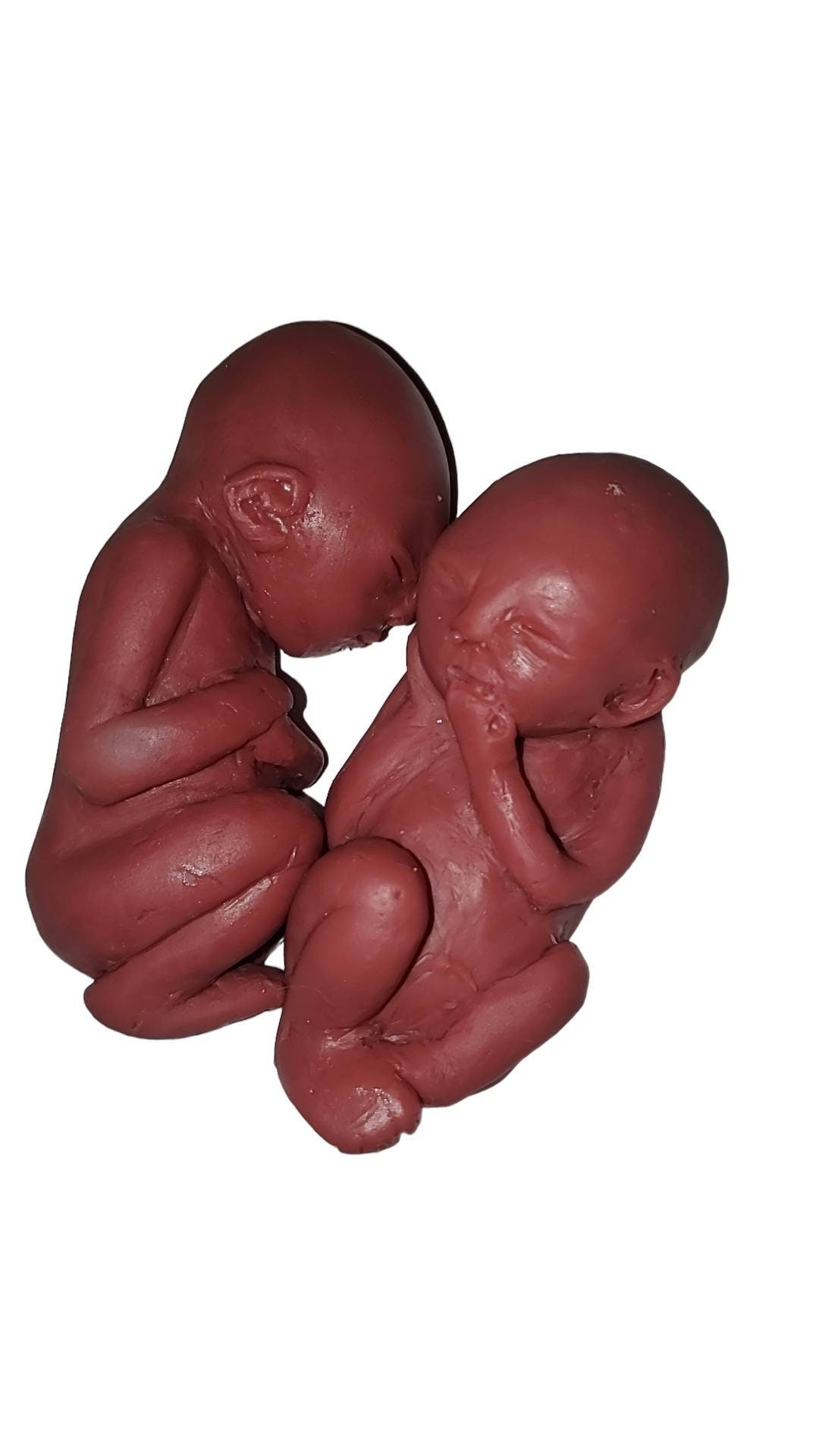 19 week silicone memorial fetus twins