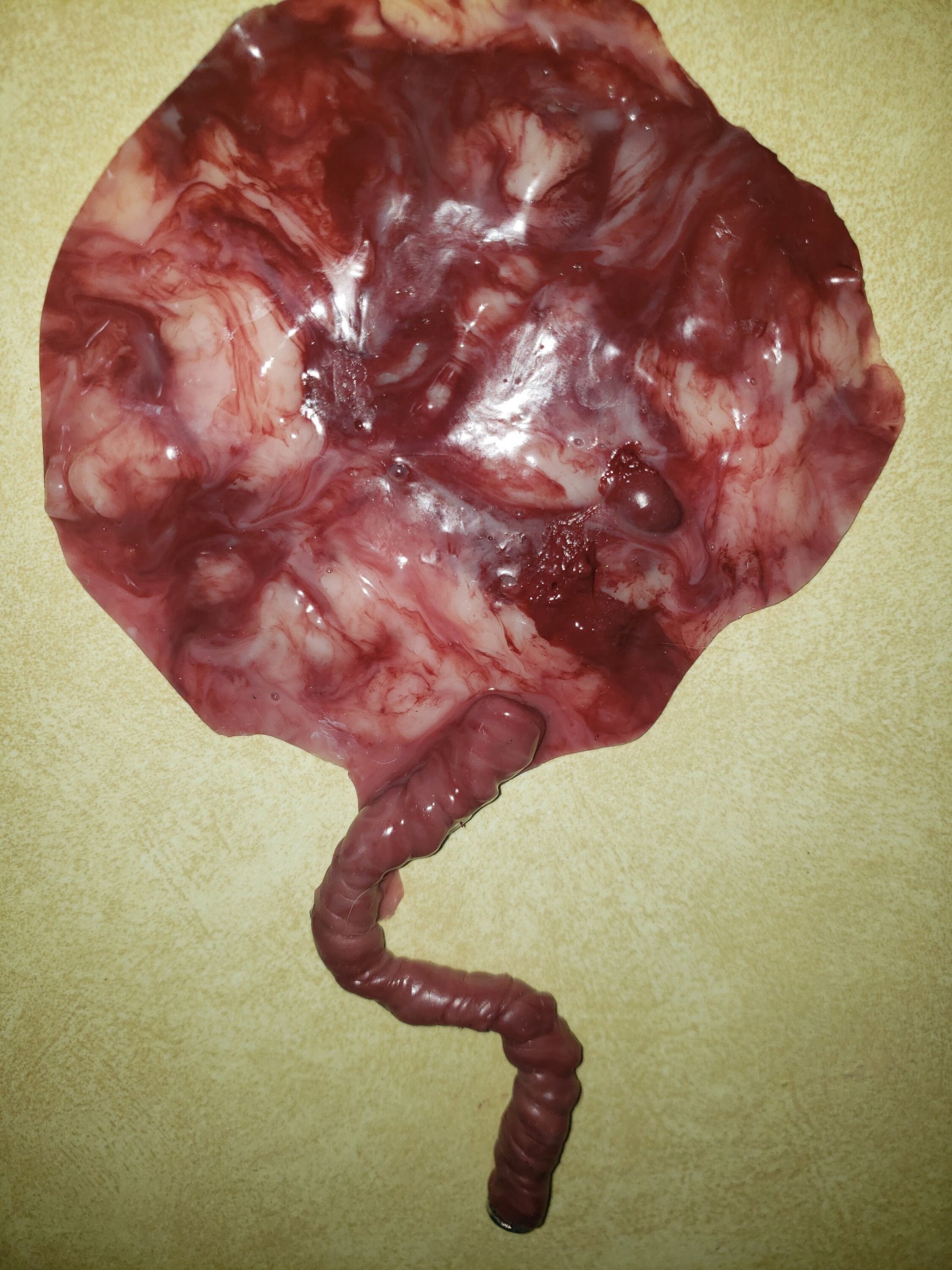 warning graphic** Silicone placenta and umbilical cord for silicone baby