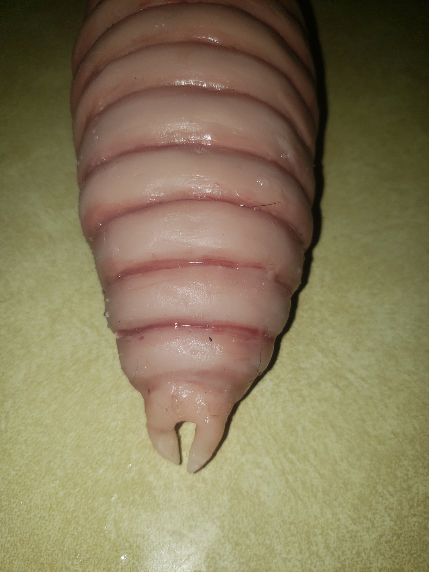 Full-body silicone flobber worm from Harry Potter 10 inches