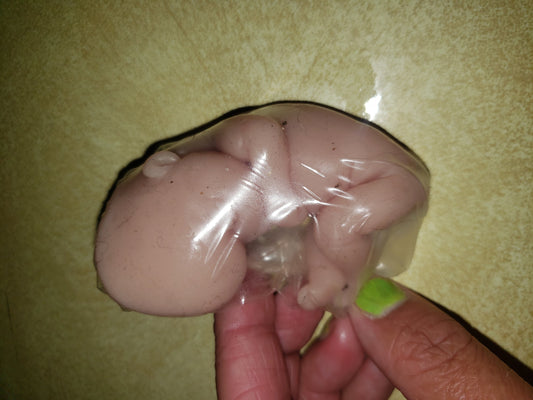 fetus silicone baby memorial inside womb
