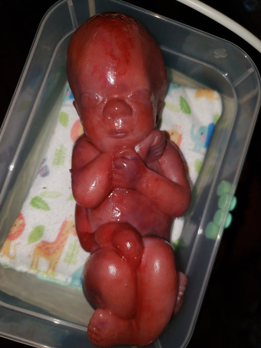 8" curled up silicone baby 22 week gestation memorial baby born too soon