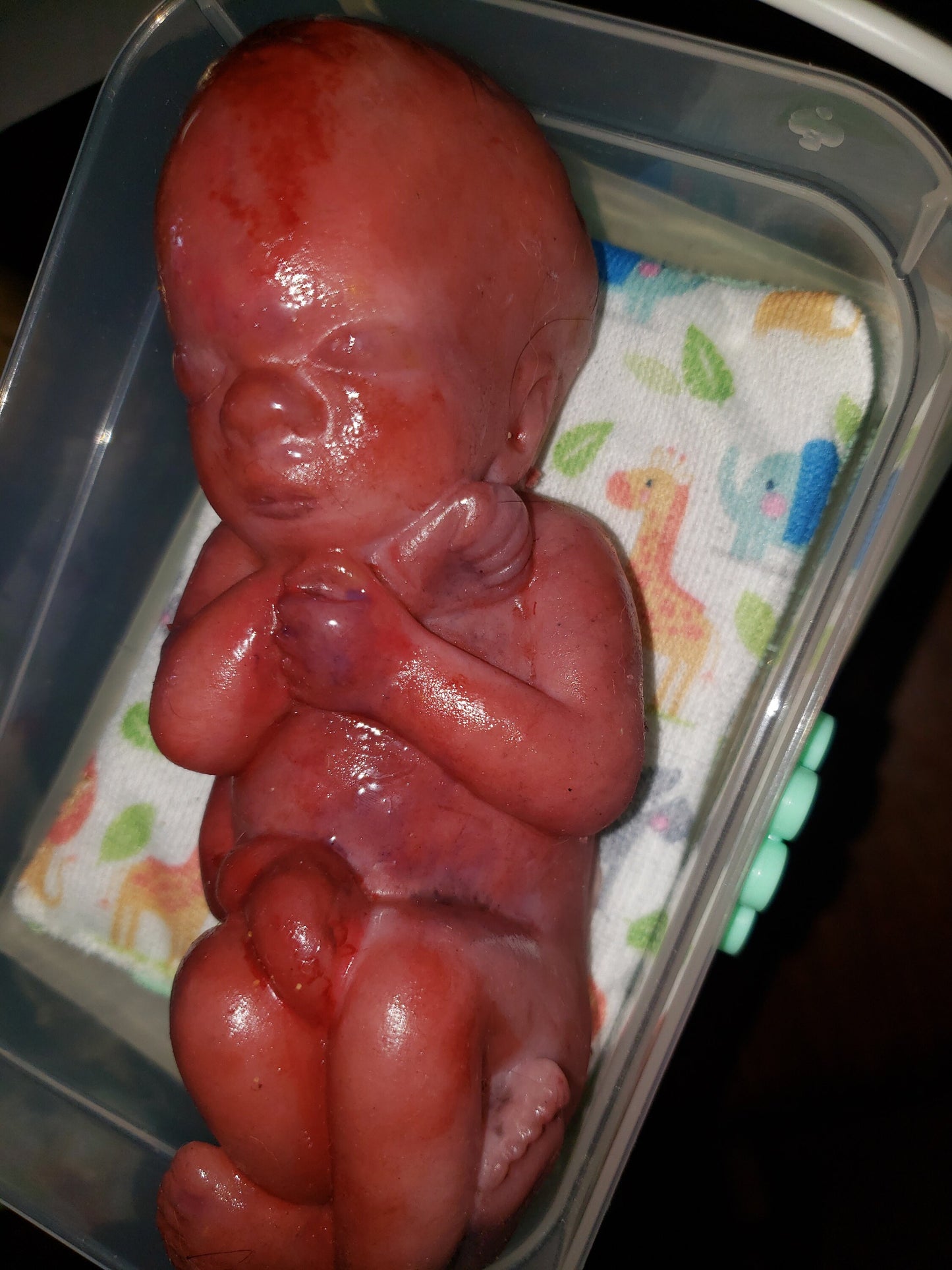 8" curled up silicone baby 22 week gestation memorial baby born too soon
