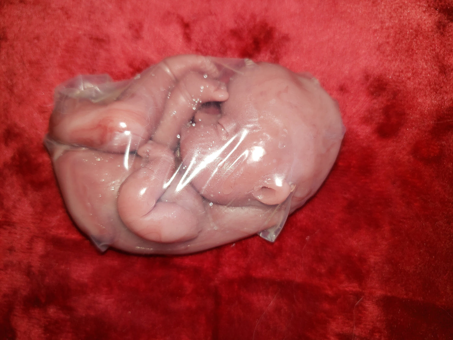fetus silicone baby memorial inside womb