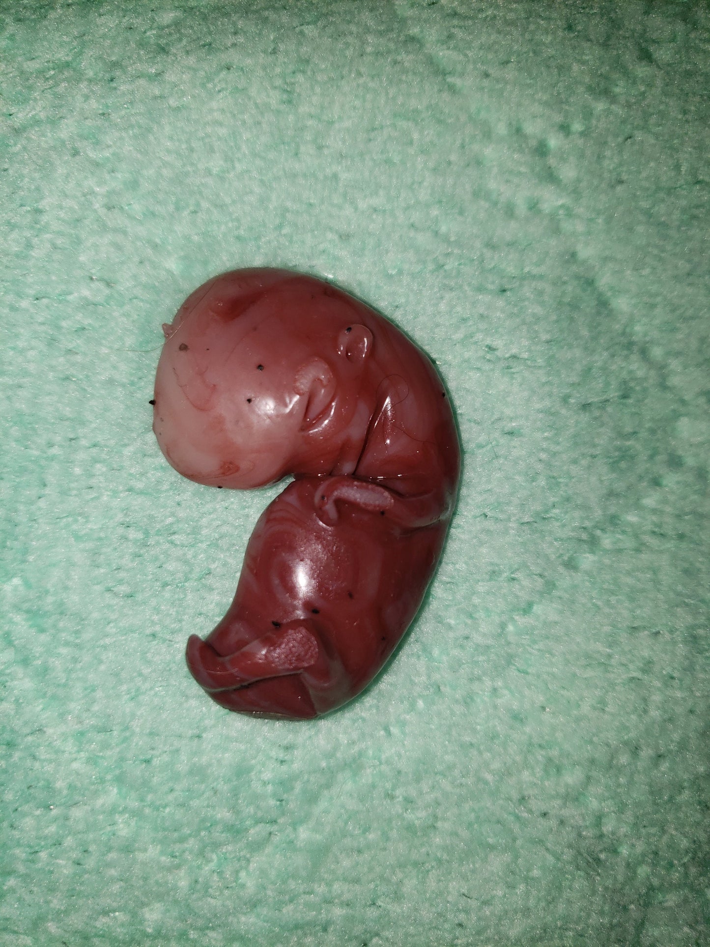 11 week gestational fetus silicone baby