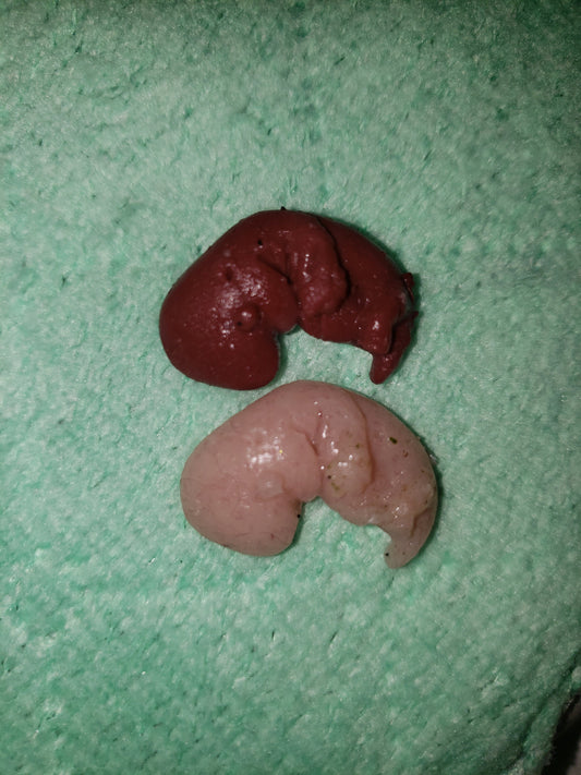 9 week gestational fetus silicone baby red/mixed color