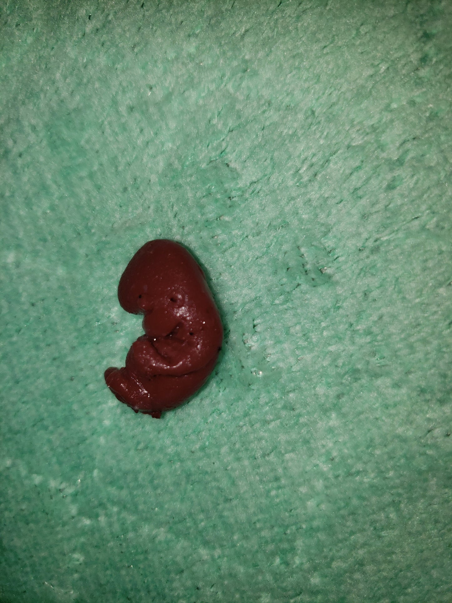 9 week gestational fetus silicone baby red/mixed color