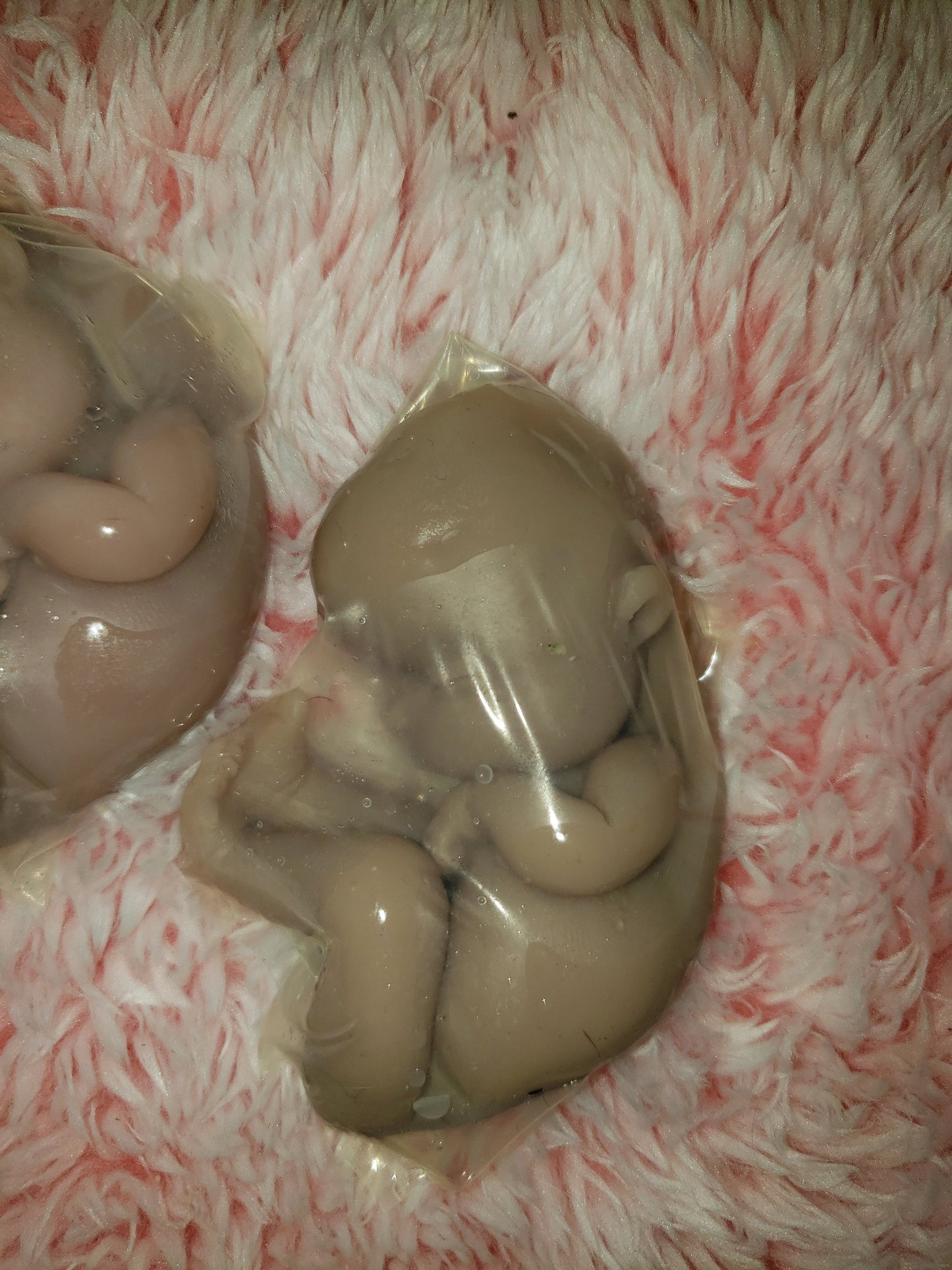 silicone baby fetus memorial baby 3.5" baby 16 week gestationin inside WOMB
