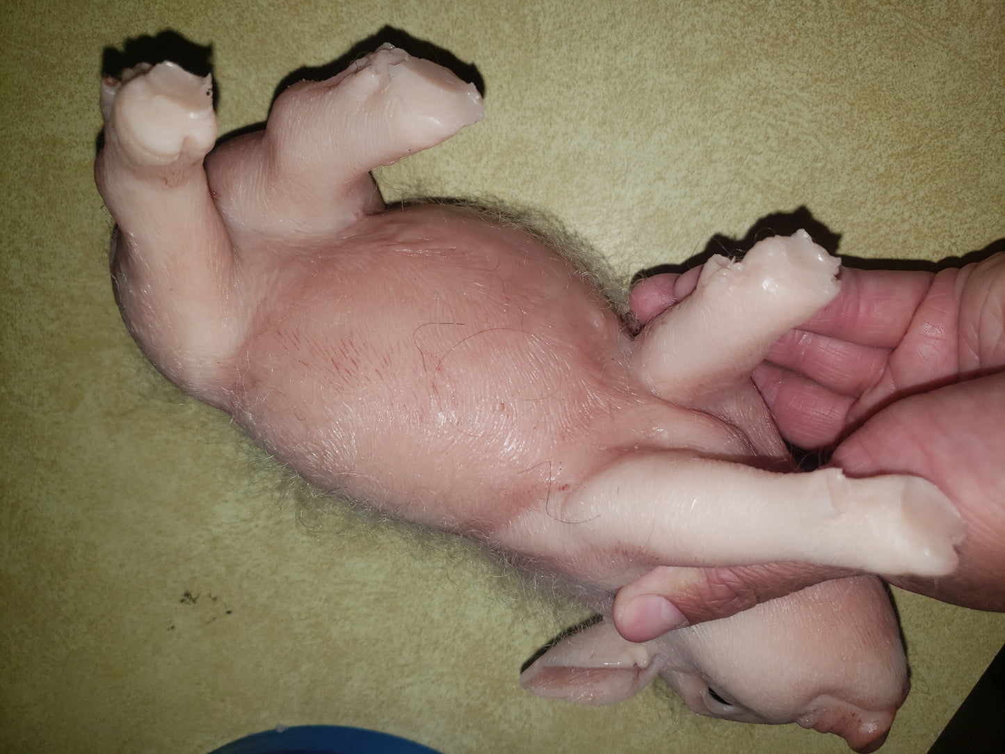 9" Full body silicone baby piglet piggy pig