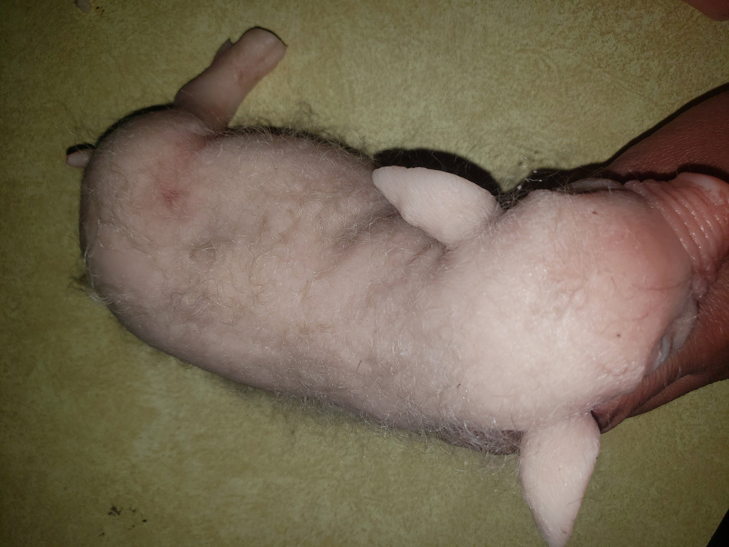 9" Full body silicone baby piglet piggy pig