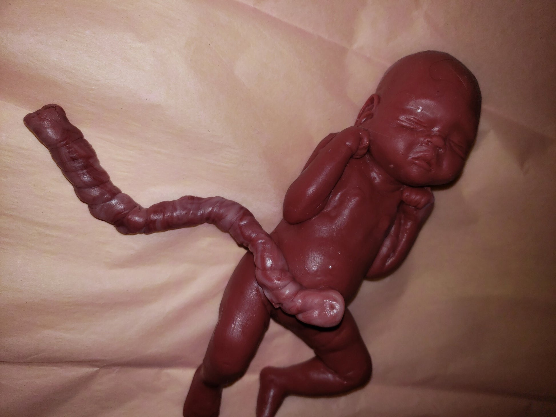 c52e3238-edf9-4f7f-b959-89598711c4a4