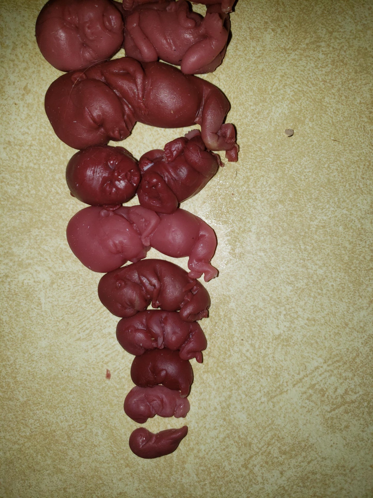 Silicone baby fetus LOT pro life developmental bundle of babies