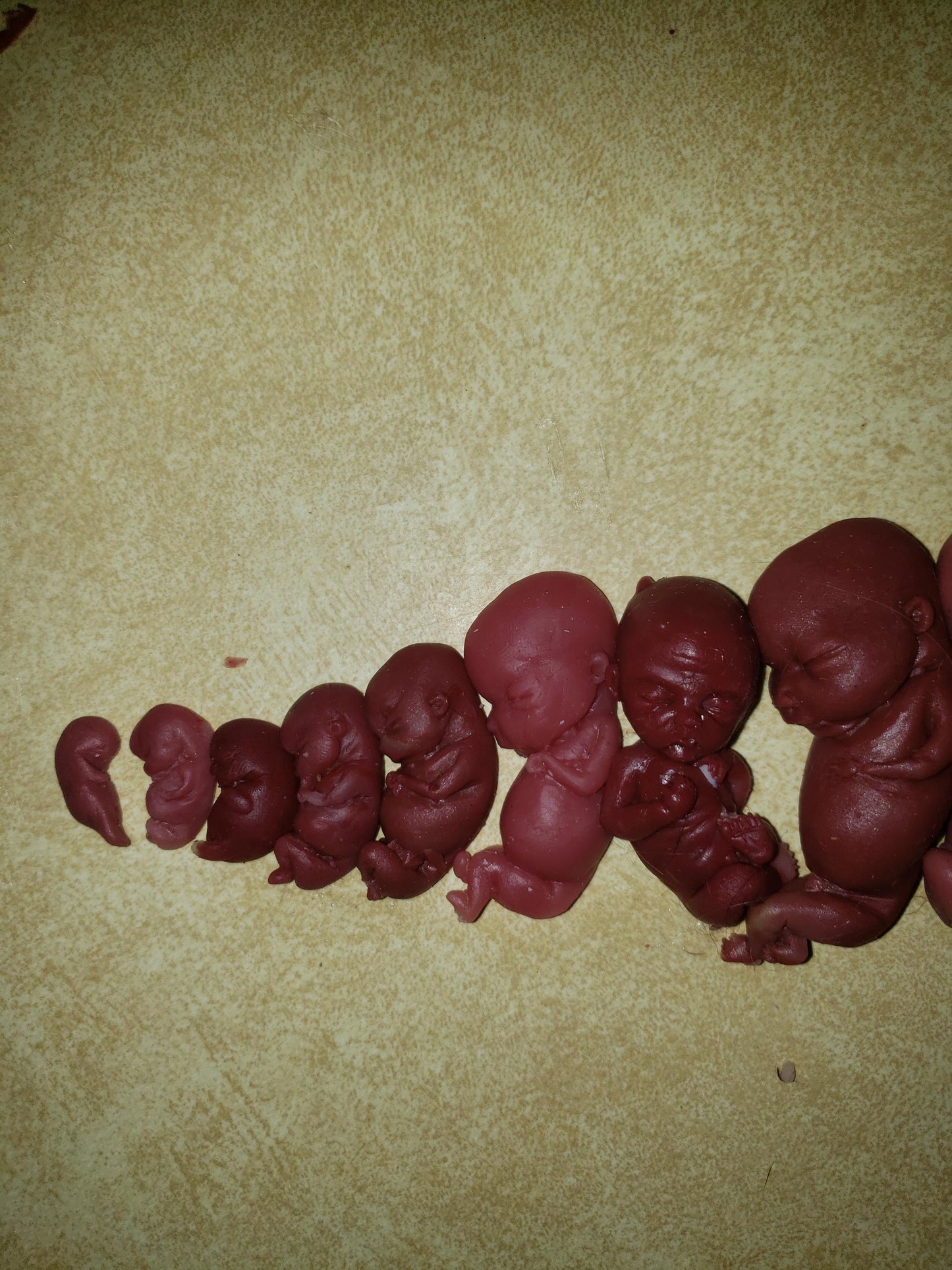 Silicone baby fetus LOT pro life developmental bundle of babies