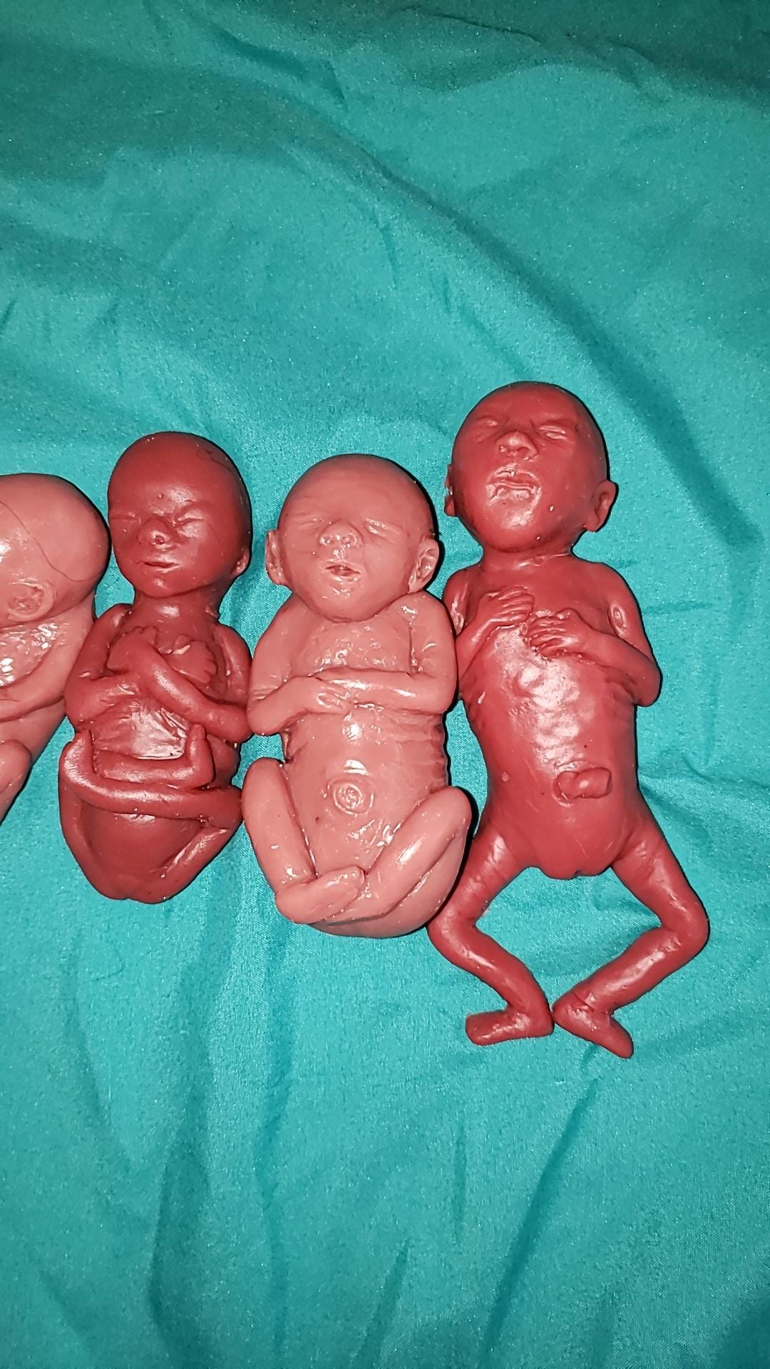 Silicone baby fetus LOT pro life developmental bundle of babies