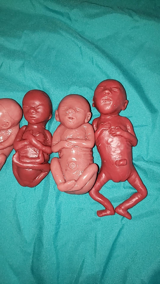 Silicone baby fetus LOT pro life developmental bundle of babies