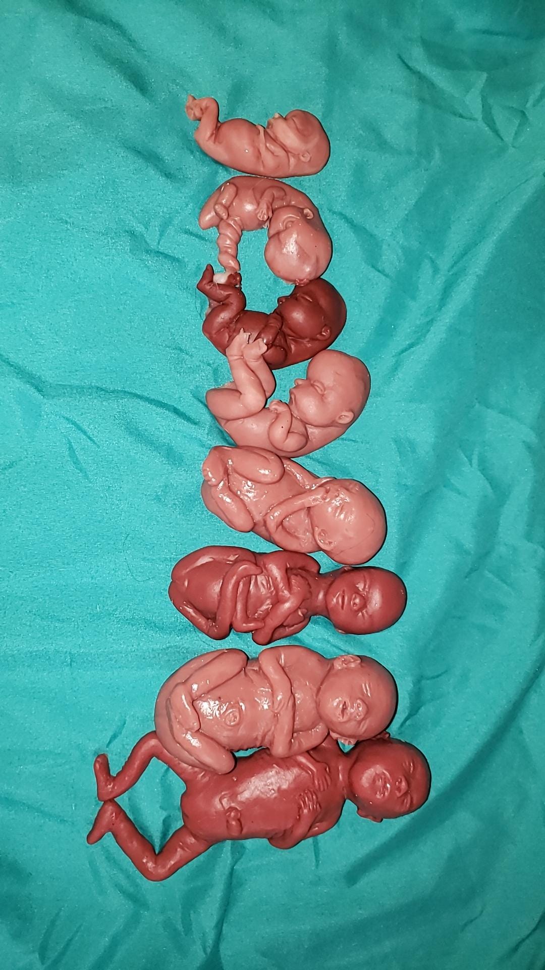 Silicone baby fetus LOT pro life developmental bundle of babies