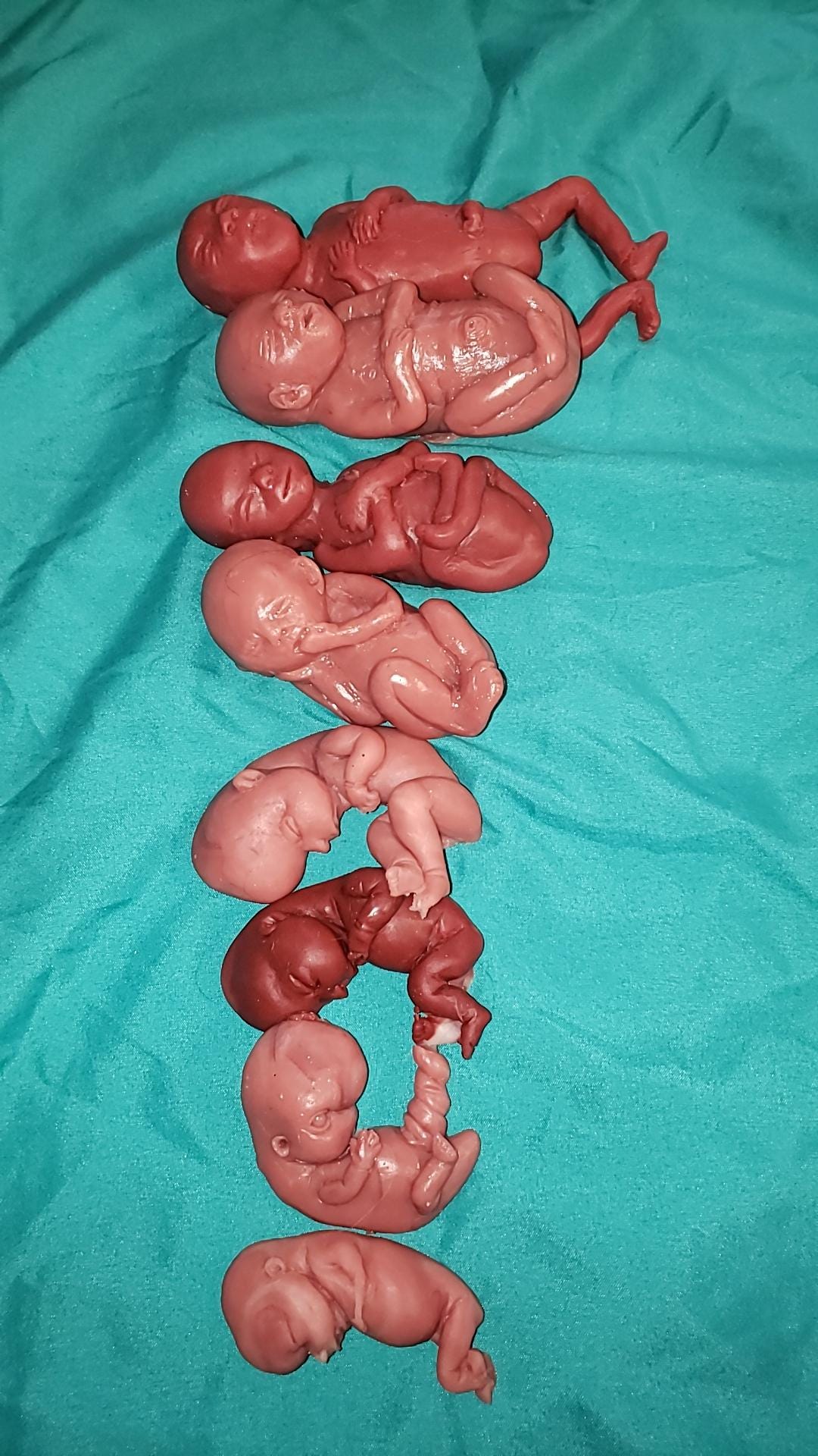 Silicone baby fetus LOT pro life developmental bundle of babies