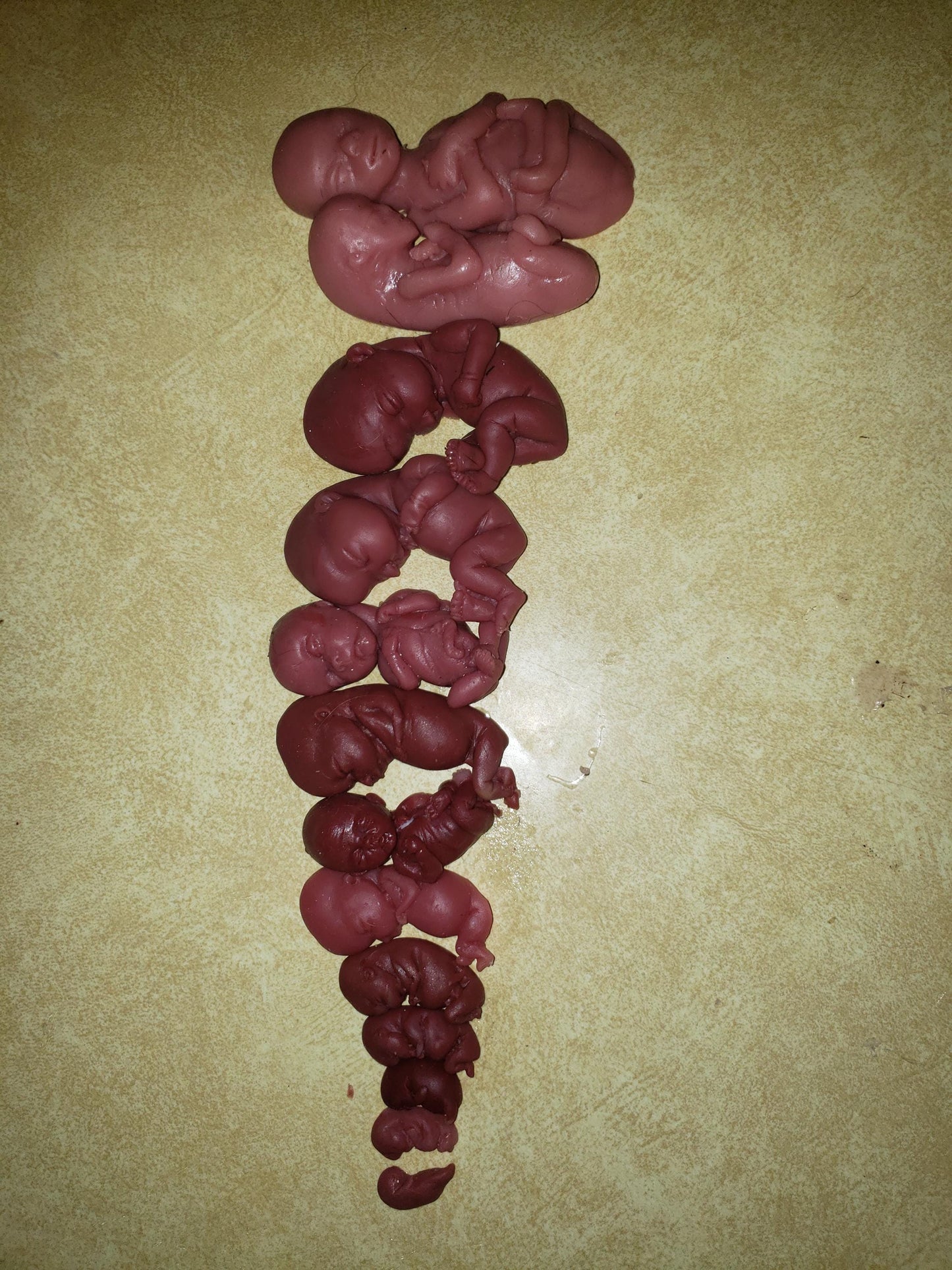 Silicone baby fetus LOT pro life developmental bundle of babies