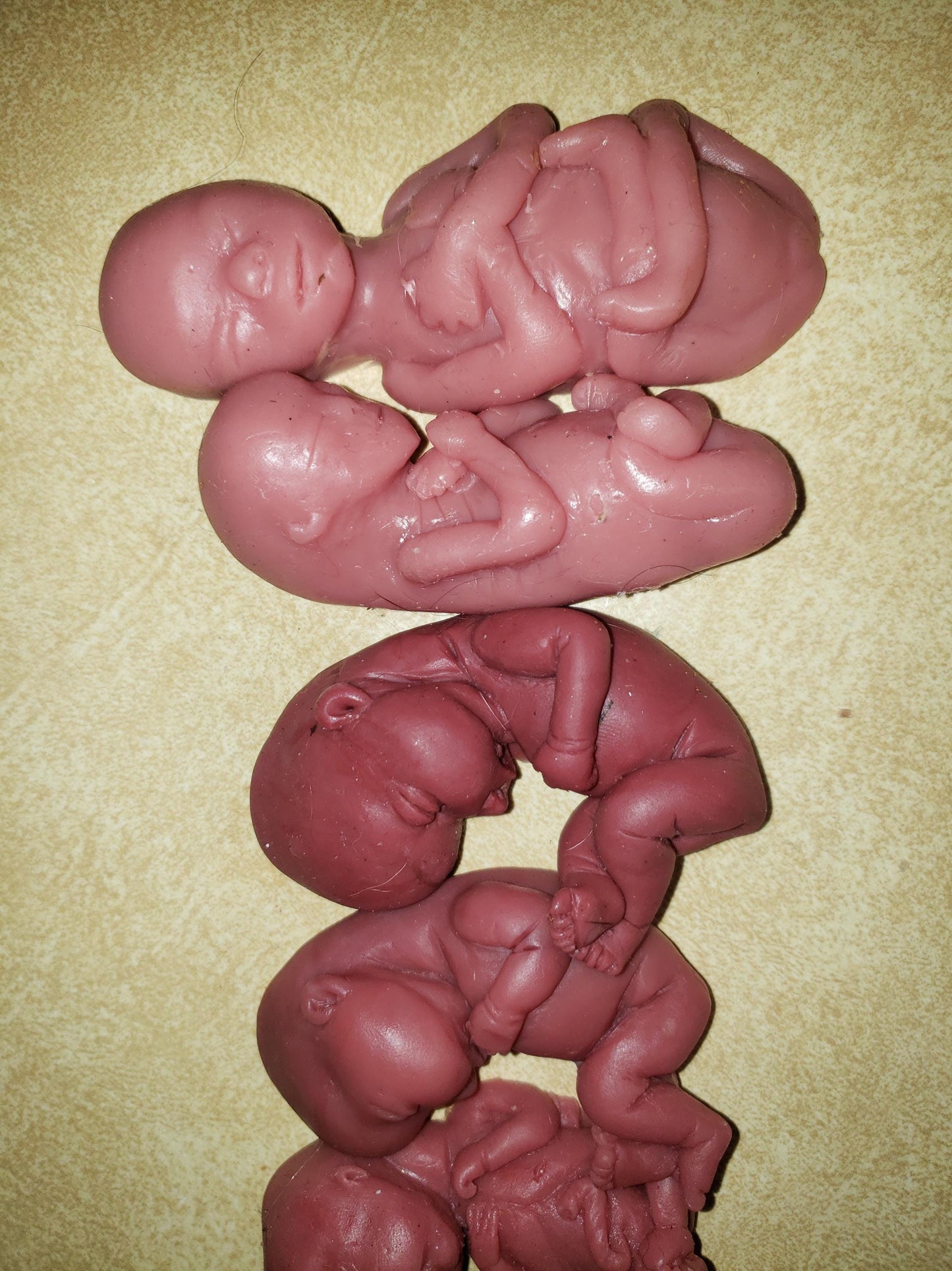 Silicone baby fetus LOT pro life developmental bundle of babies