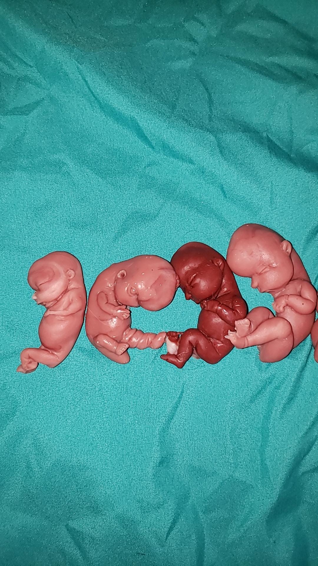 Silicone baby fetus LOT pro life developmental bundle of babies