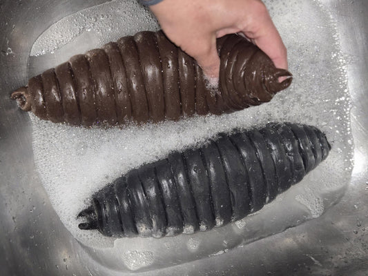 Full-body silicone flobber worm from Harry Potter 10 inches