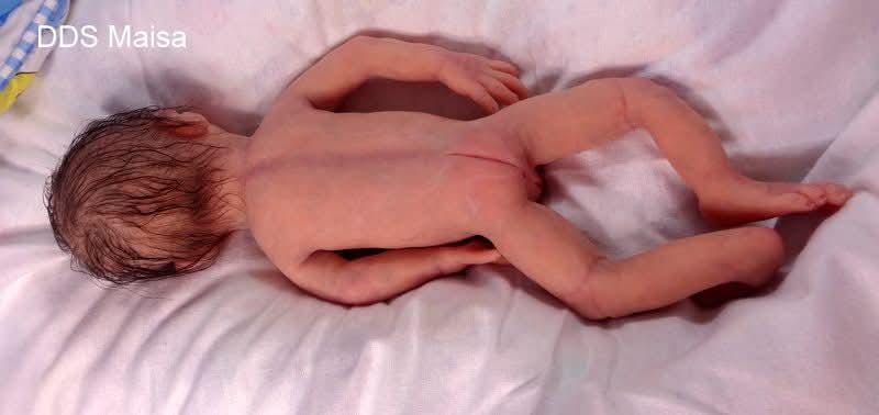 Full Body Silicone Baby 17" maisa by Donna kohn