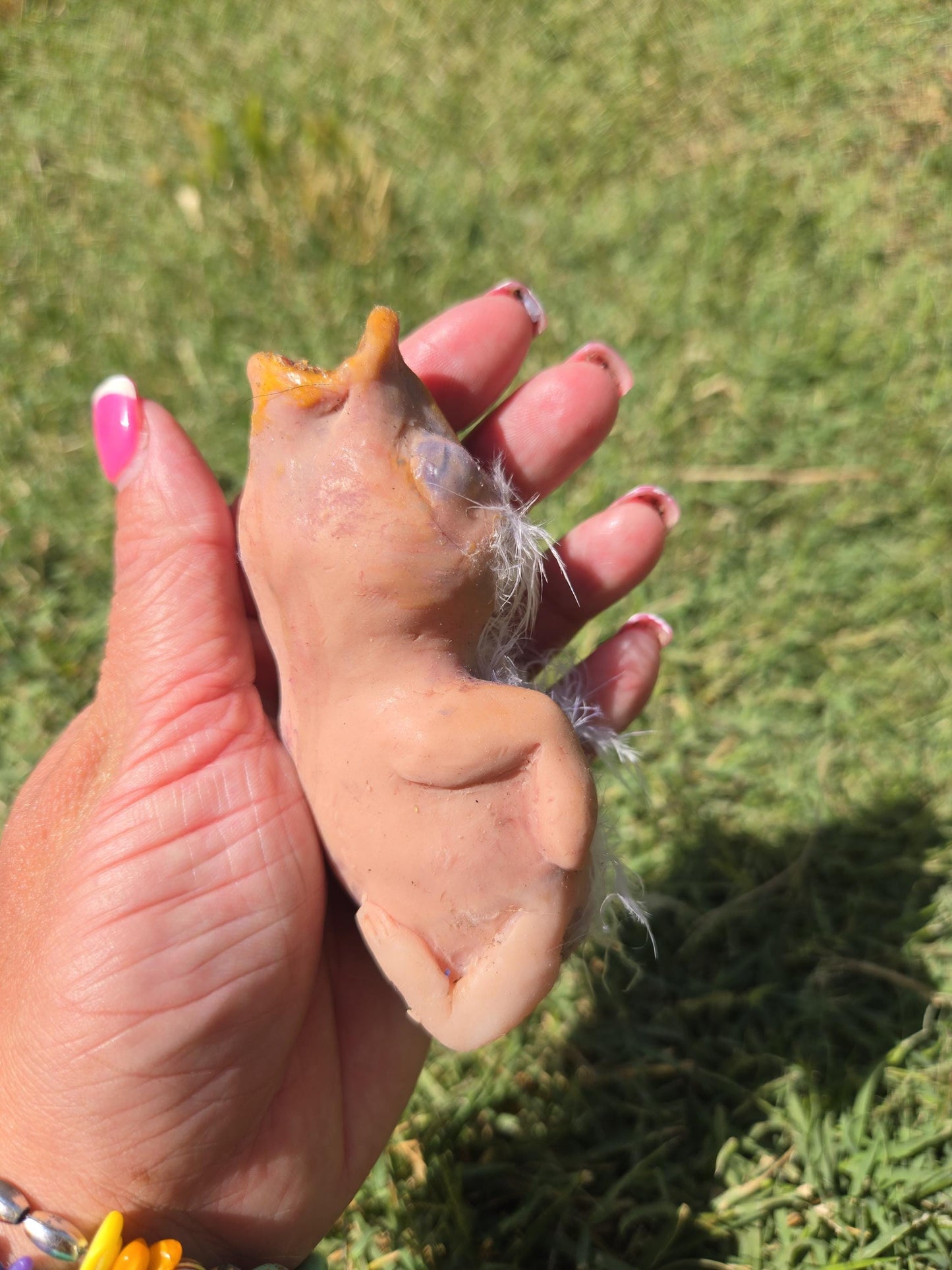 Custom 4" Silicone Baby Bird ā Fantasy Creature Art Doll