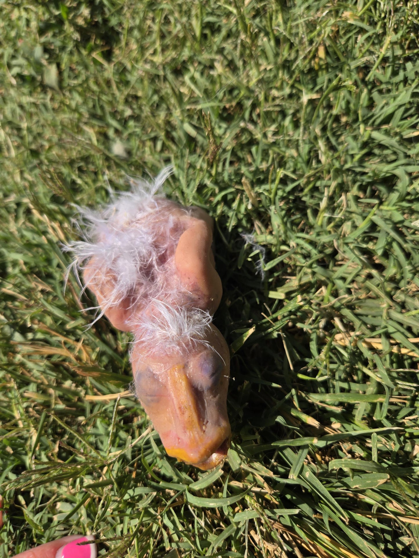 Custom 4" Silicone Baby Bird ā Fantasy Creature Art Doll