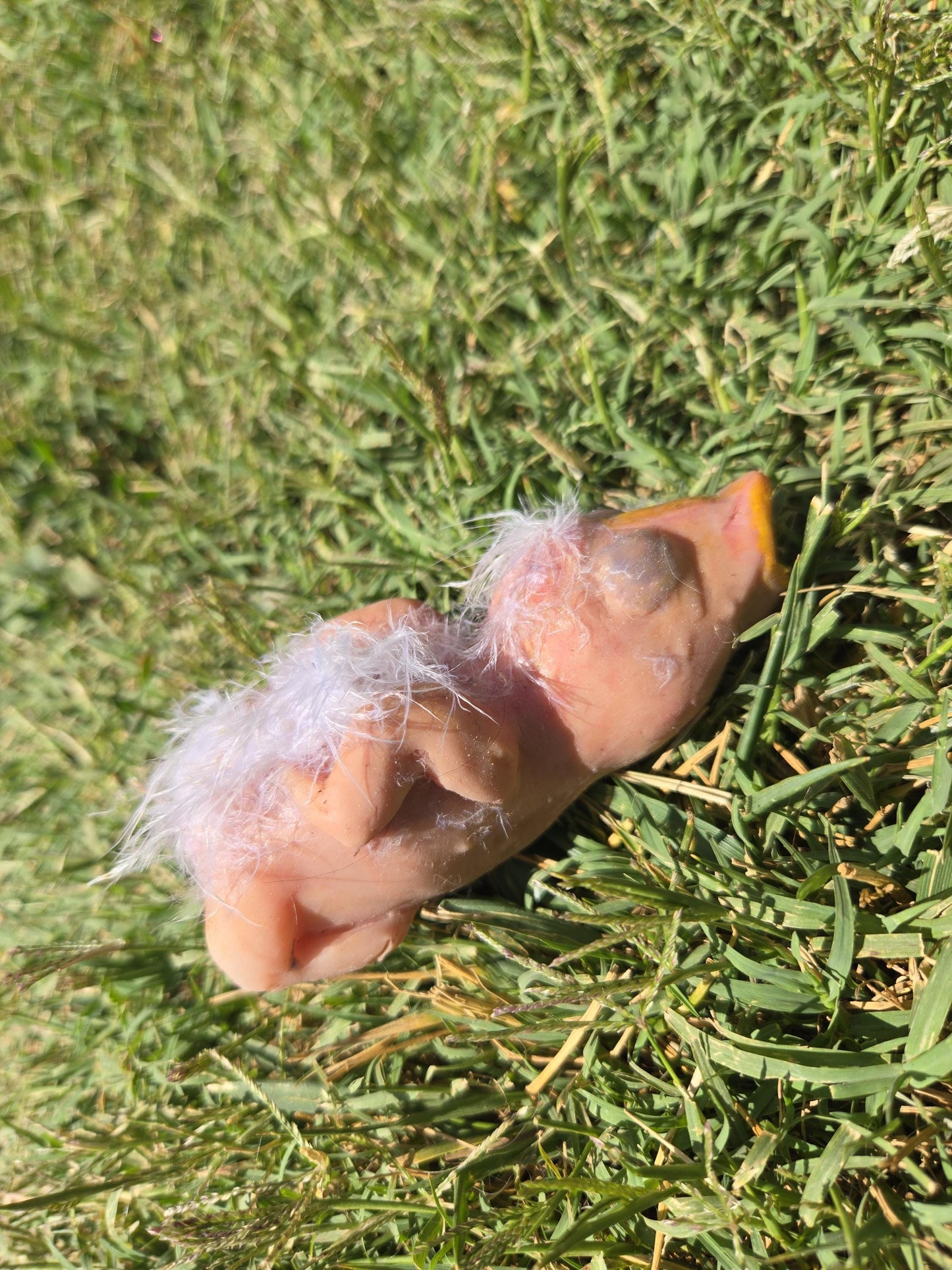 Custom 4" Silicone Baby Bird ā Fantasy Creature Art Doll
