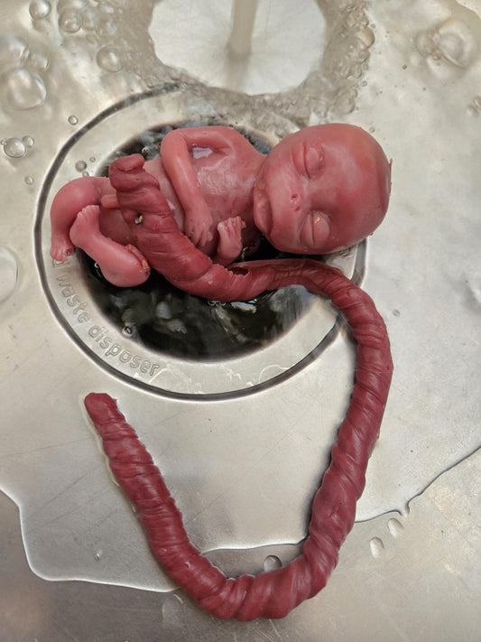 Full body 20 week gestational fetus memorial silicone baby with umbilical cord