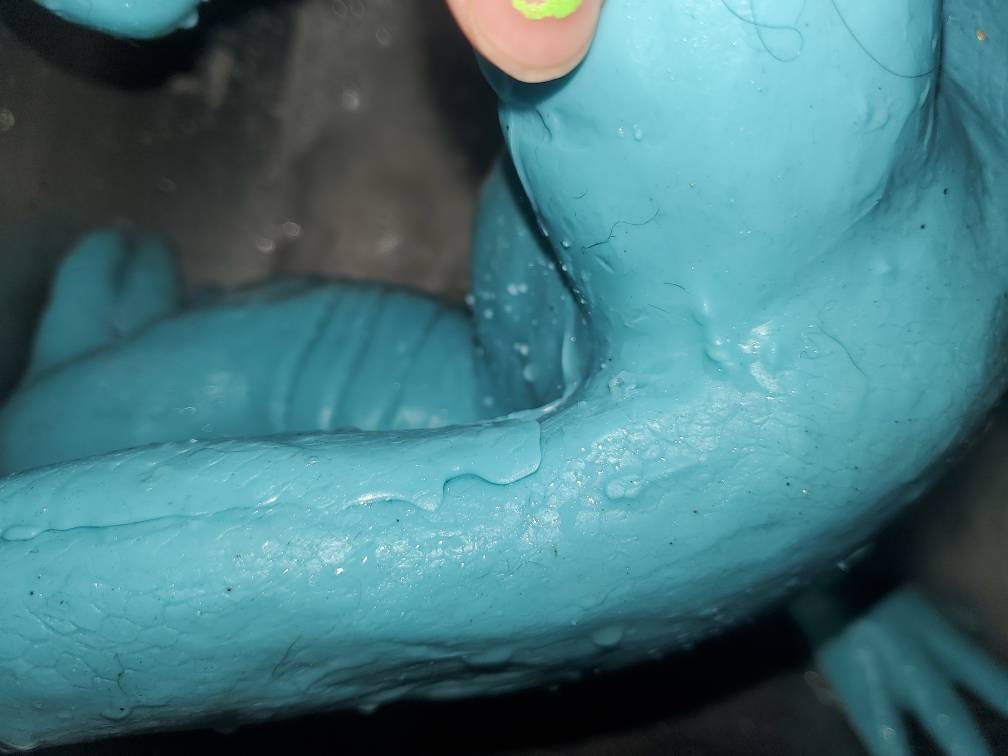 Full body silicone baby dragon blank kit "saphire"