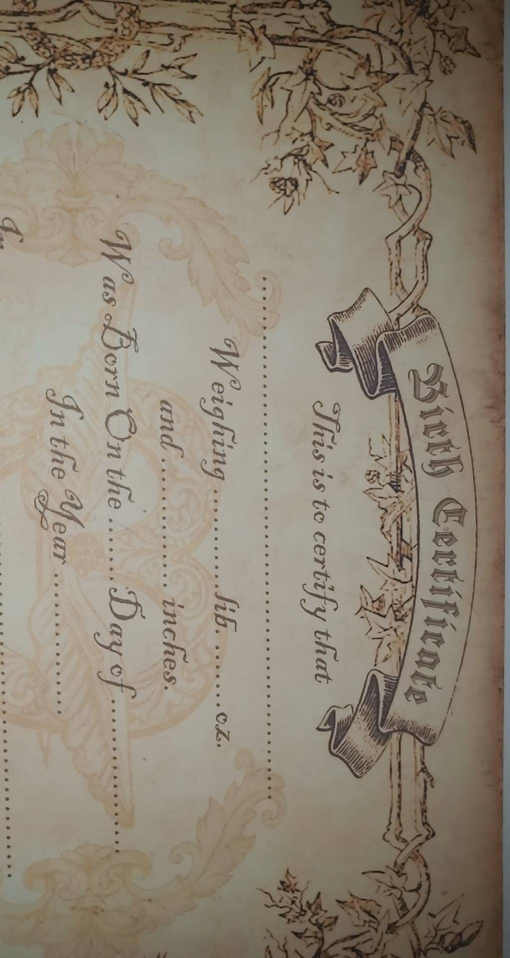 Newborn baby birth certificate perfect for reborn or silicone baby adoption